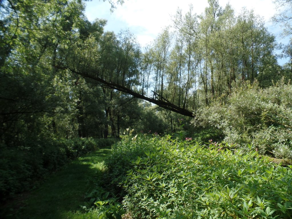 Klimaatwandeling De Kleine Rug 27-9