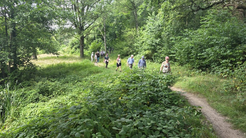 Iedere donderdagochtend – wandeling