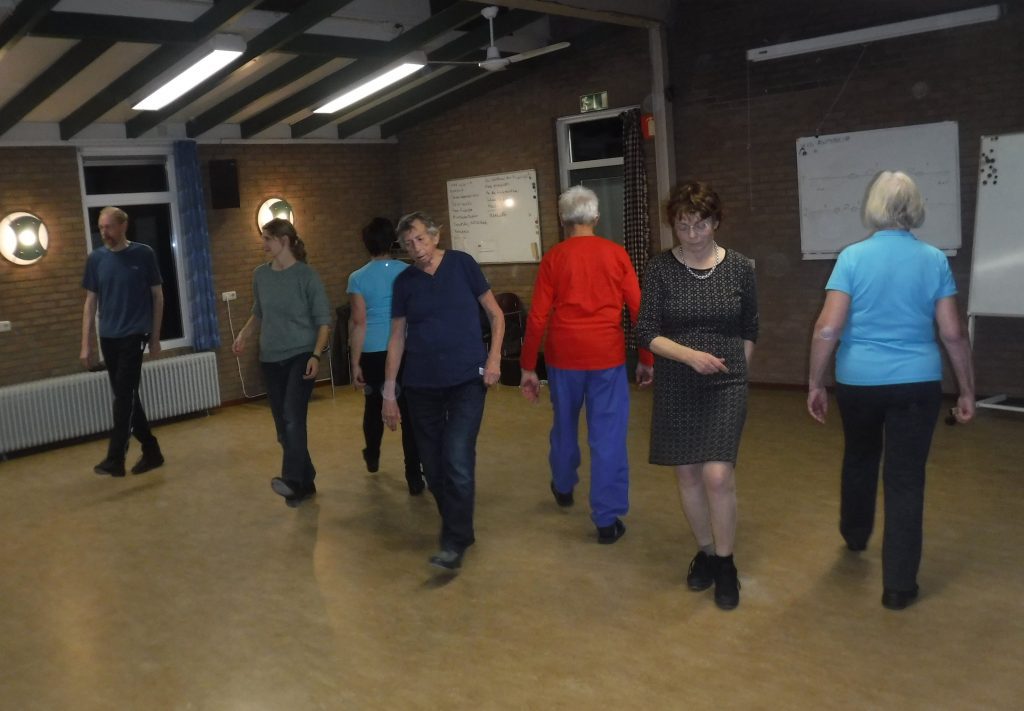 Volksdansen – internationale dans &amp; beweging