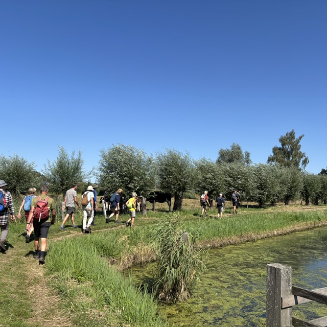 Iedere dinsdagmiddag – wandeling