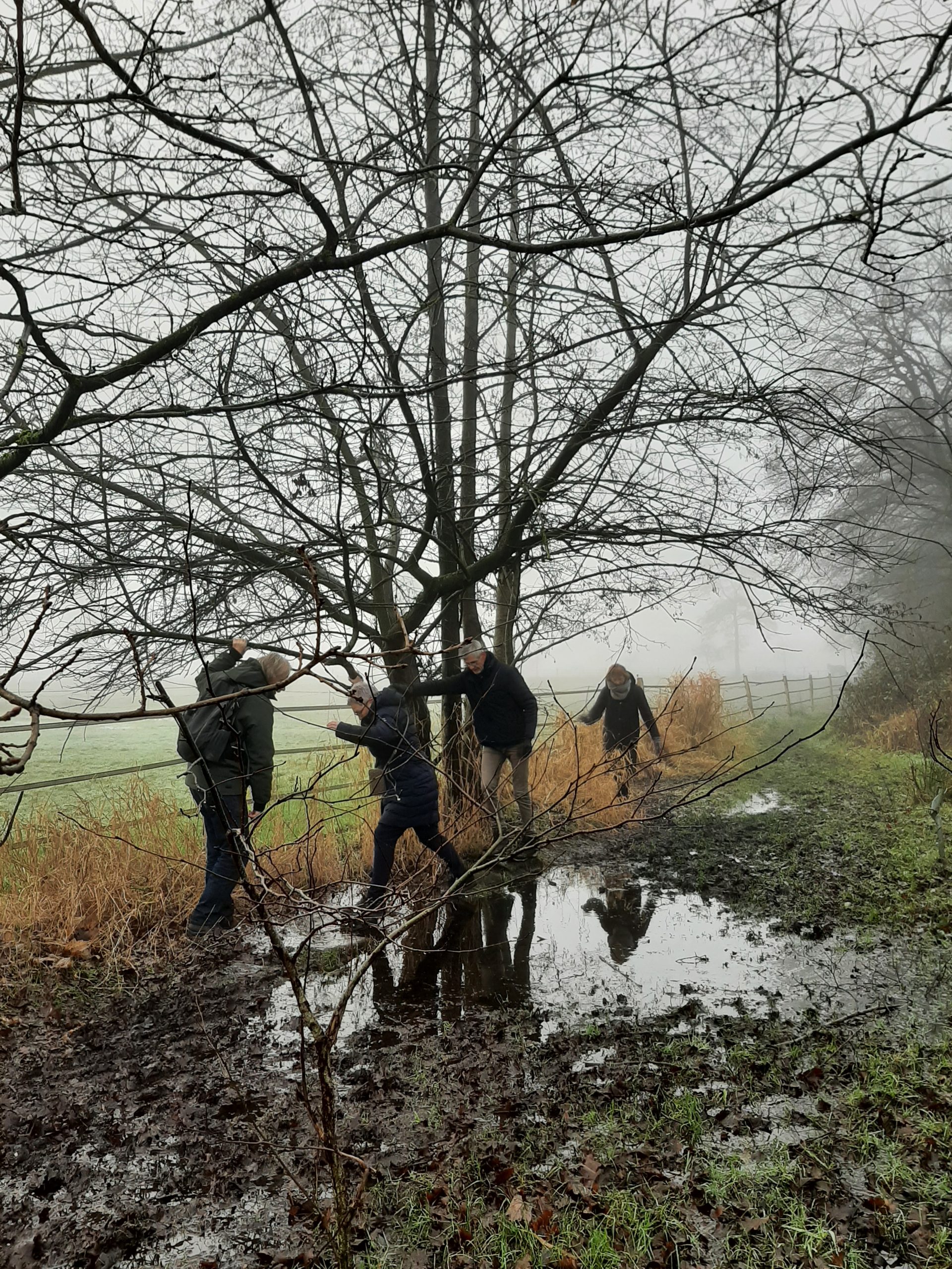 De uitbuik wandeling op 27 december 2024